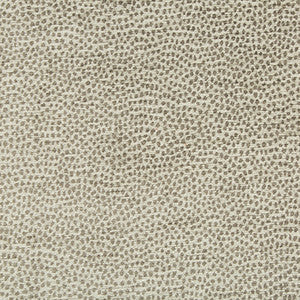 Kravet Fabric 34971-11