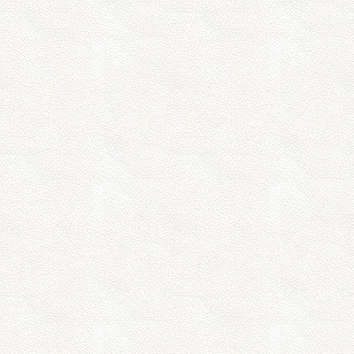 Kravet Fabric Ali-101