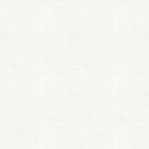 Kravet Fabric Ali-101