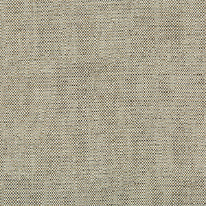 Kravet Fabric 35132-1611