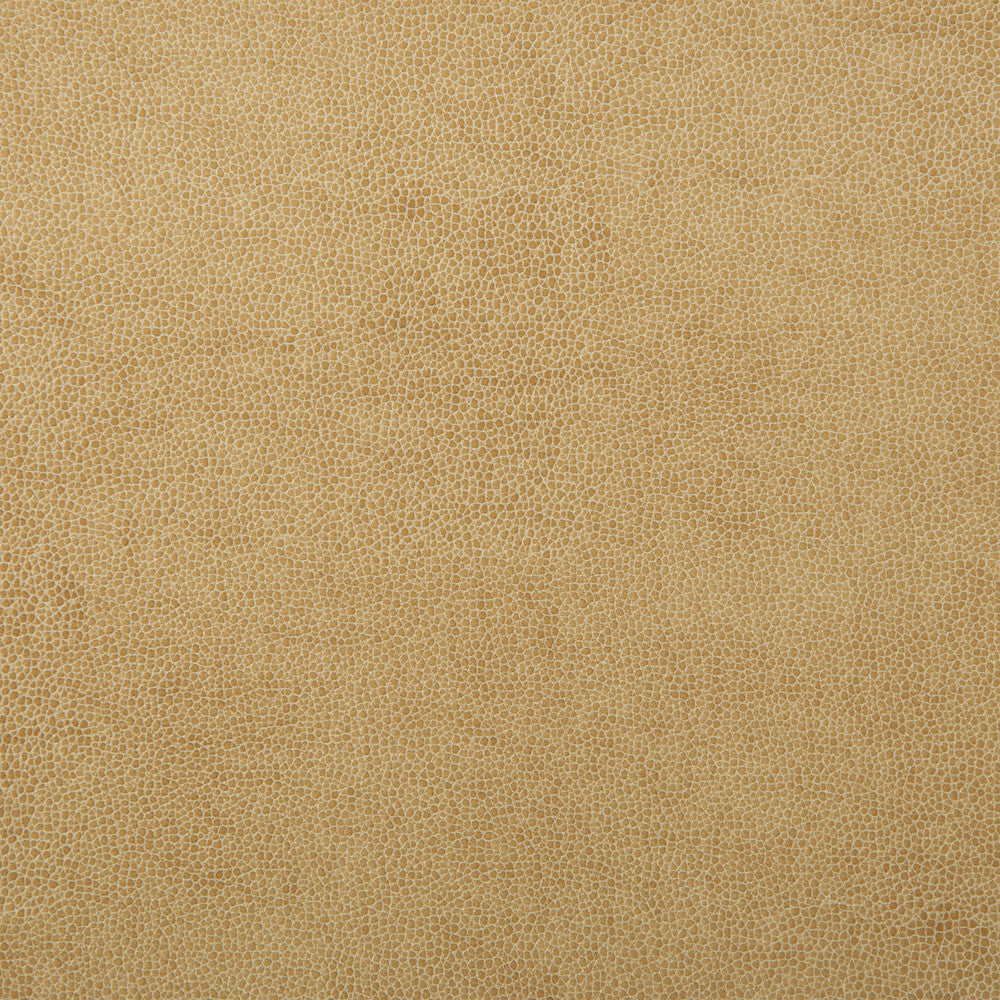 Kravet Fabric Sparta-1