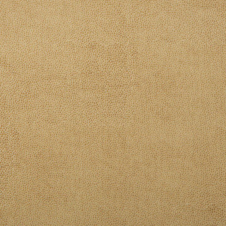 Kravet Fabric Sparta-1