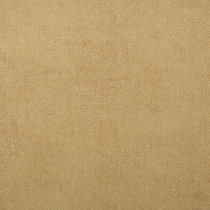 Kravet Fabric Sparta-1