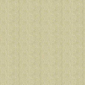 Kravet Fabric 33832-1111