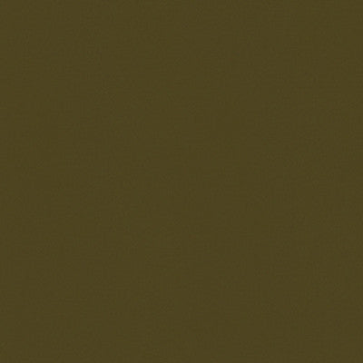 Kravet Fabric Versailles-E273120