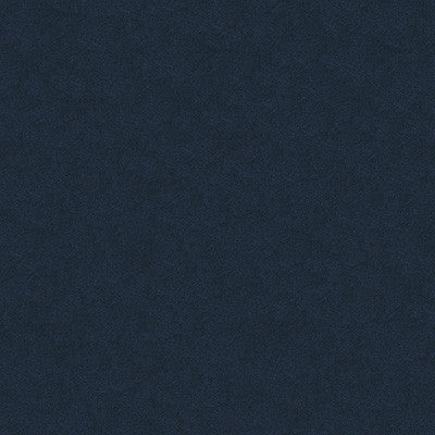 Kravet Fabric 34205-5