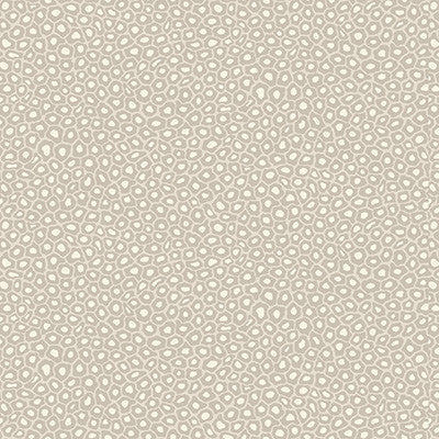 Cole & Son Wallpaper Senzo Spot Stone & White