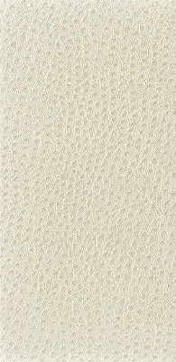 Kravet Fabric Nuostrich-111
