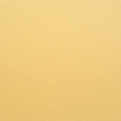 Kravet Fabric Gato-1616