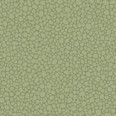 Cole & Son Wallpaper Pebble Dark Olive