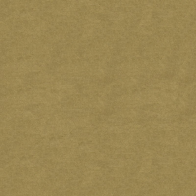 Kravet Fabric 33125-1616
