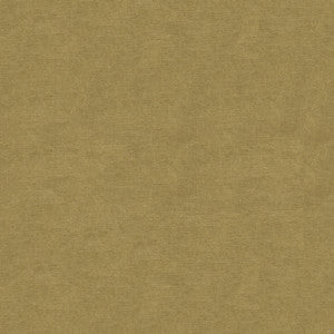 Kravet Fabric 33125-1616