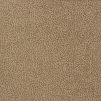 Kravet Fabric Matter-1611