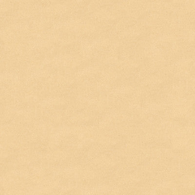Kravet Fabric 33127-111