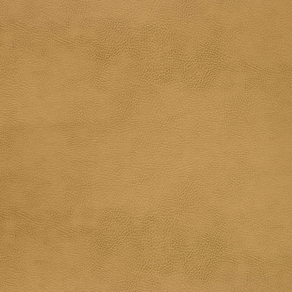 Kravet Fabric Caswell-4