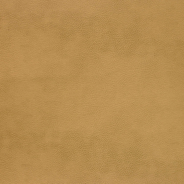 Kravet Fabric Caswell-4