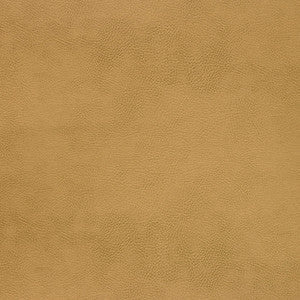 Kravet Fabric Caswell-4
