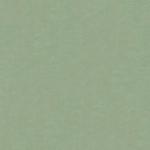 Kravet Fabric 4070-5252