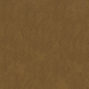 Kravet Fabric Alina-616