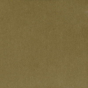 Kravet Fabric Versailles-E202130