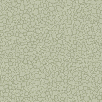Cole & Son Wallpaper Pebble Sage