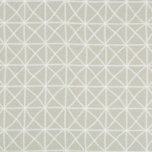 Kravet Fabric X-Squared Grey