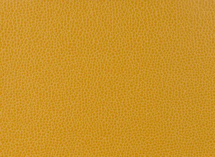 Kravet Fabric Gillian-414