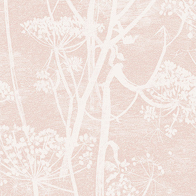 Cole & Son Wallpaper Cow Parsley Plaster Pink