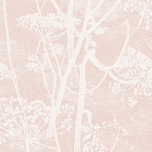 Cole & Son Wallpaper Cow Parsley Plaster Pink