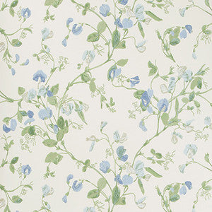 Cole & Son Wallpaper Sweet Pea Blue
