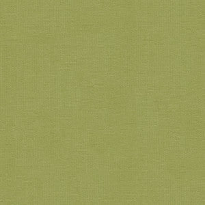 Kravet Fabric Versailles-E261200