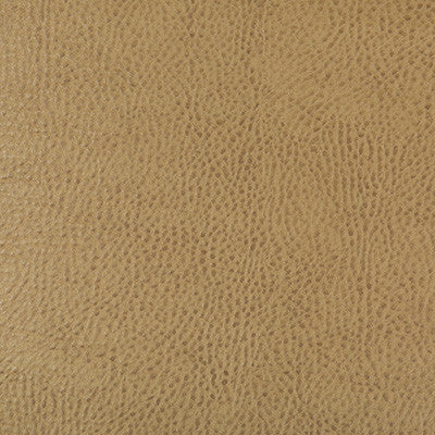 Kravet Fabric Beholder-16