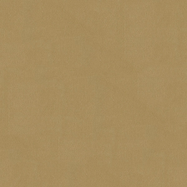 Kravet Fabric Versailles-E244220