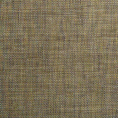 Kravet Fabric 34926-411