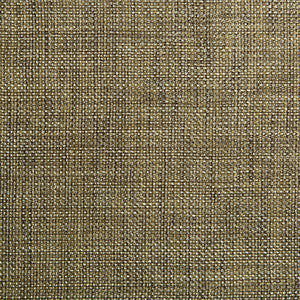 Kravet Fabric 34926-411