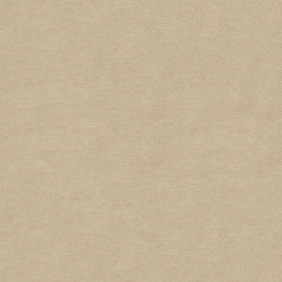 Kravet Fabric 33125-311