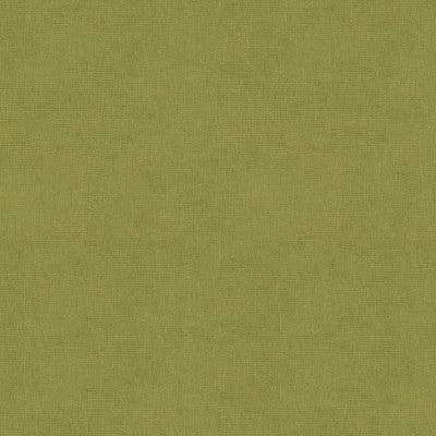 Kravet Fabric 33125-303