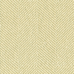 Kravet Fabric 28768-116