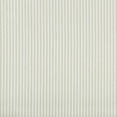 Lee Jofa Fabric Cap Ferrat Stripe Leaf