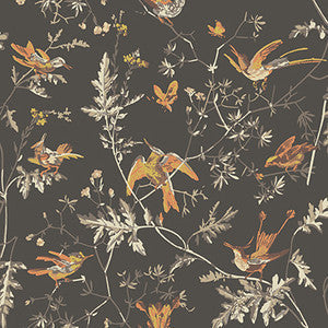 Cole & Son Wallpaper Hummingbirds Charcoal/Ginger