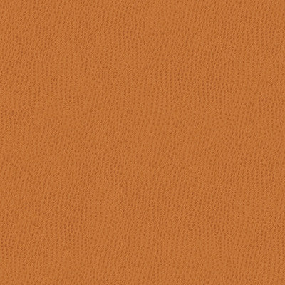 Kravet Fabric Belus-212