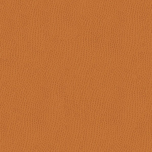 Kravet Fabric Belus-212
