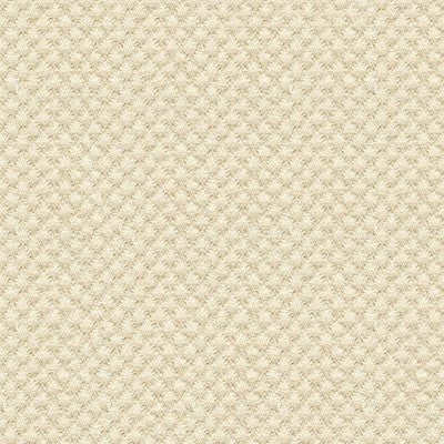 Kravet Fabric 25807-1116