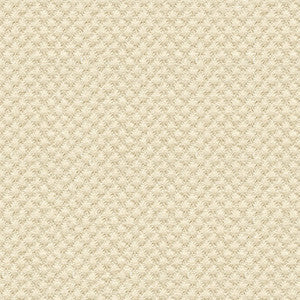 Kravet Fabric 25807-1116