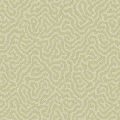 Cole & Son Wallpaper Coral Old Olive