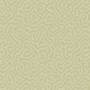 Cole & Son Wallpaper Coral Old Olive