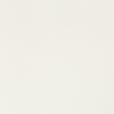Kravet Fabric Syrus Gesso