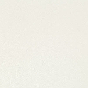 Kravet Fabric Syrus Gesso