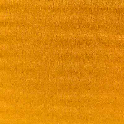 Kravet Fabric Versailles-E216230