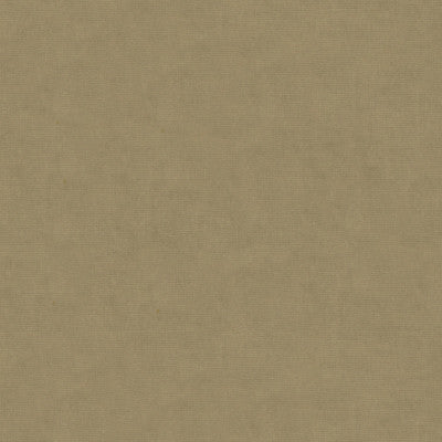 Kravet Fabric 33125-106